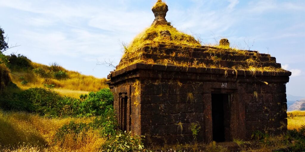 VASOTA AND NAGESHWAR CAVES