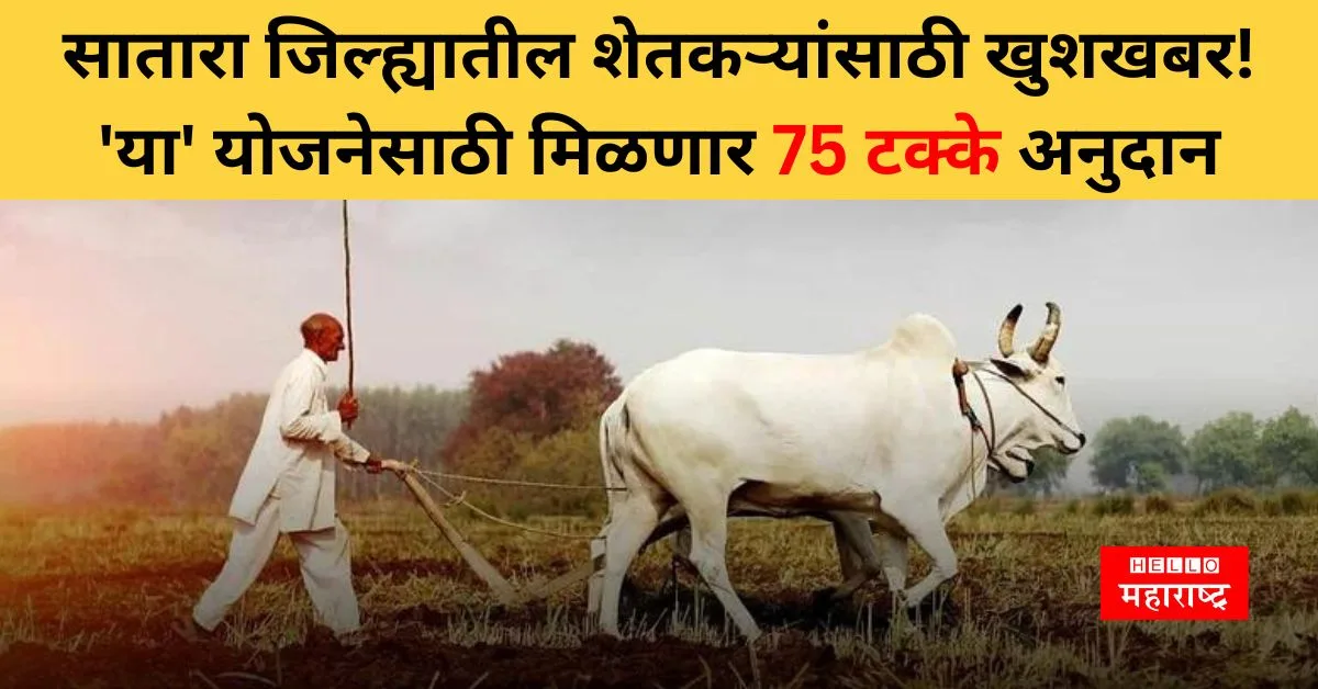 Satara Agriculture News 1 jpg