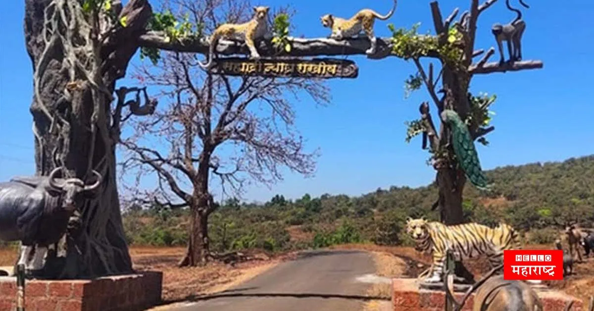 Sahyadri Tiger Reserve News jpg