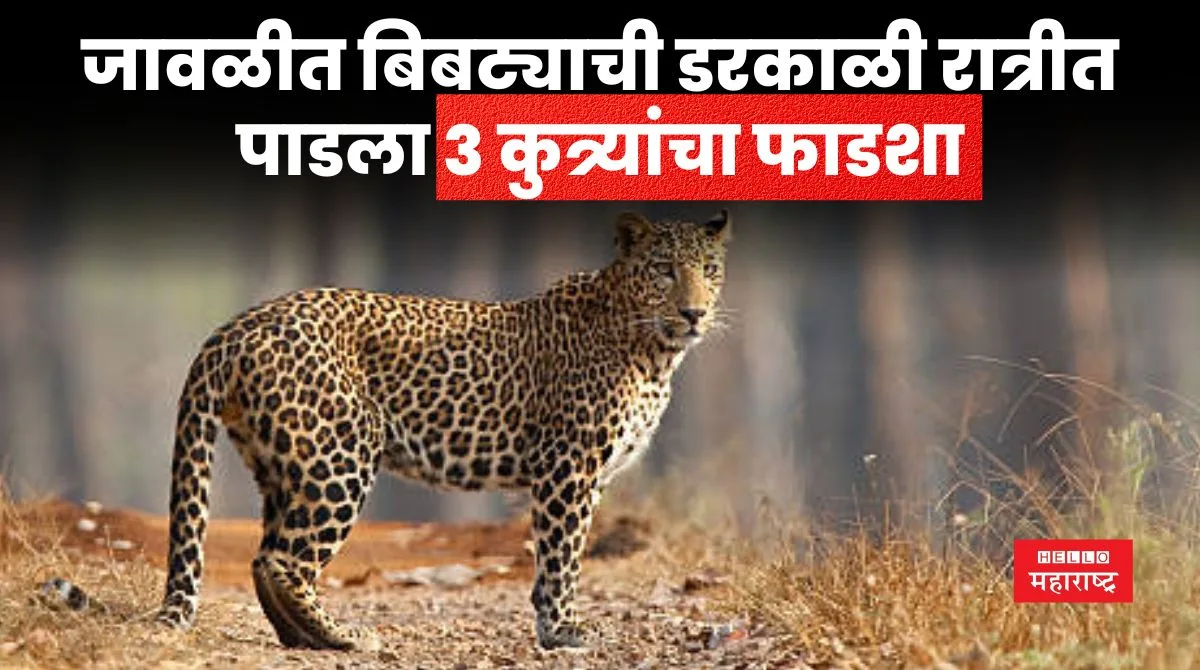 Leopard News 20240326 122212 0000 jpg