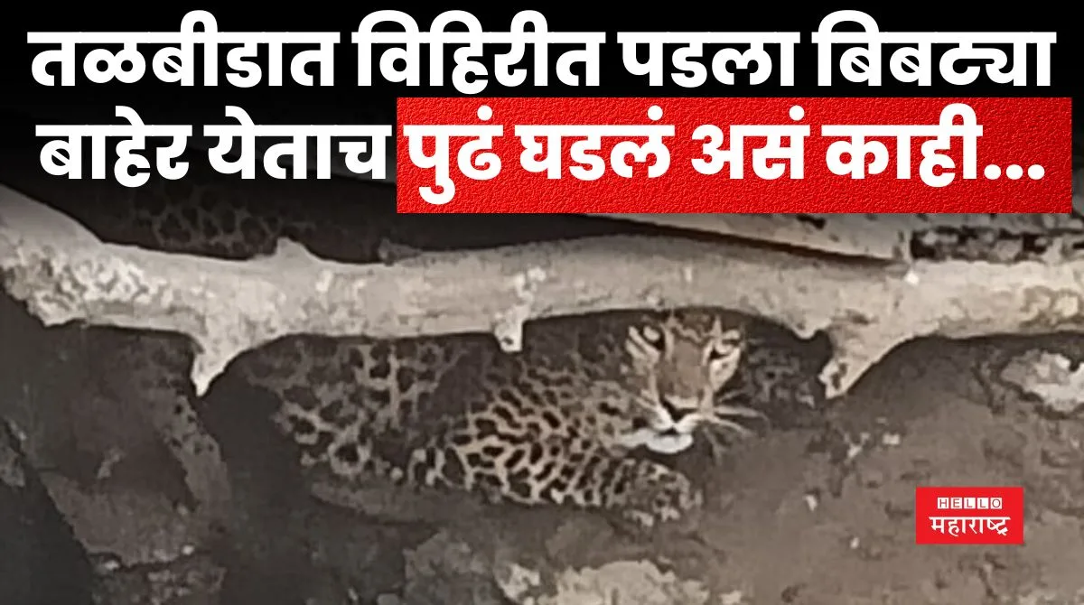 Leopard News 20240329 141400 0000 jpg