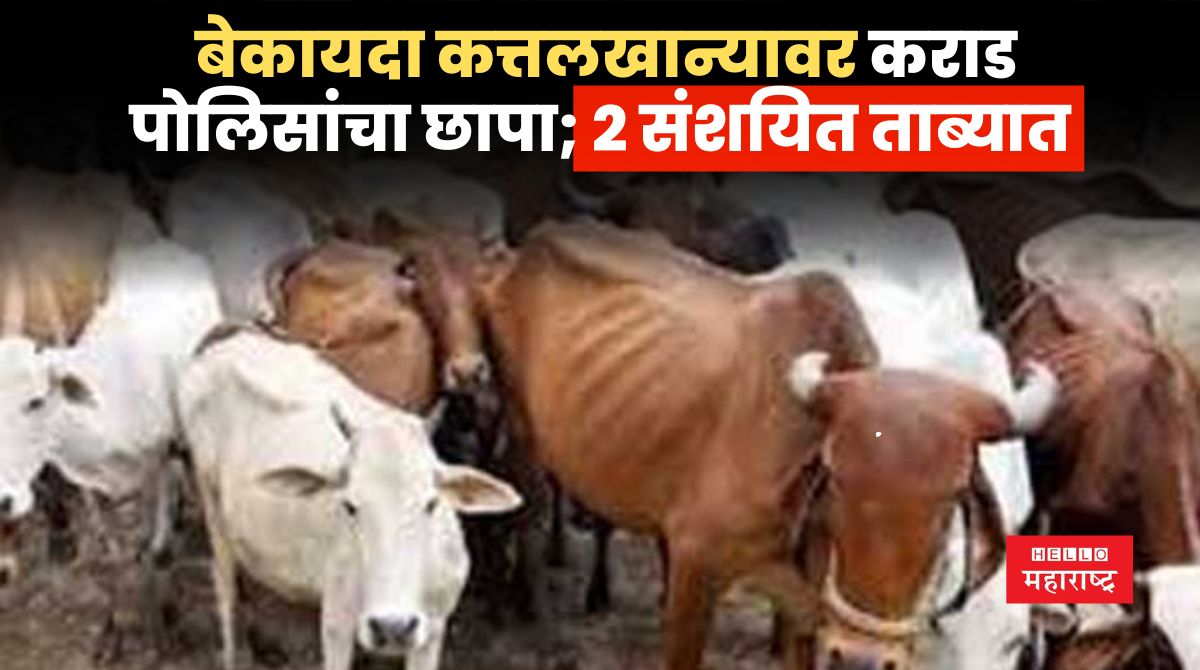 Karad News 3