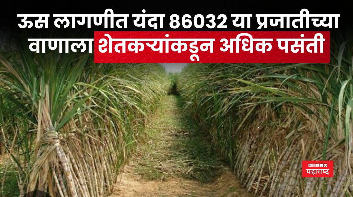 Agriculture News 20240605 090009 0000