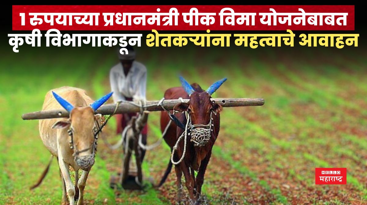 Farmar News 1