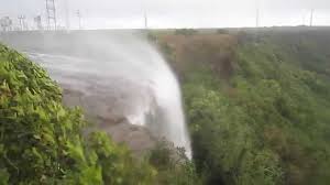 Sadavaghapur waterfall