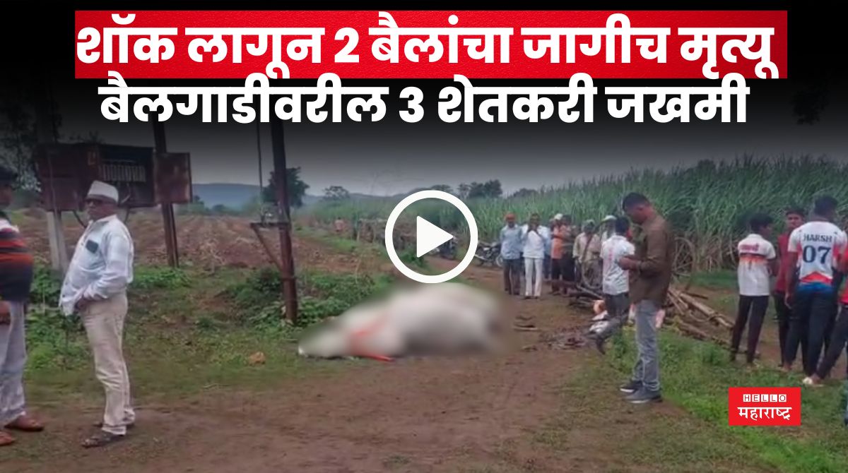 Satara News 2 1