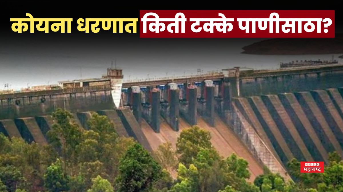 Koyna dam News 8