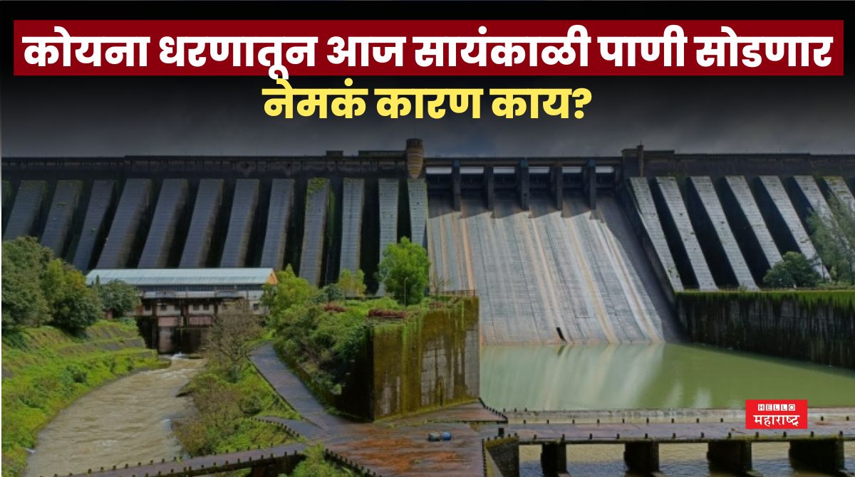 Patan Koyna Dam News