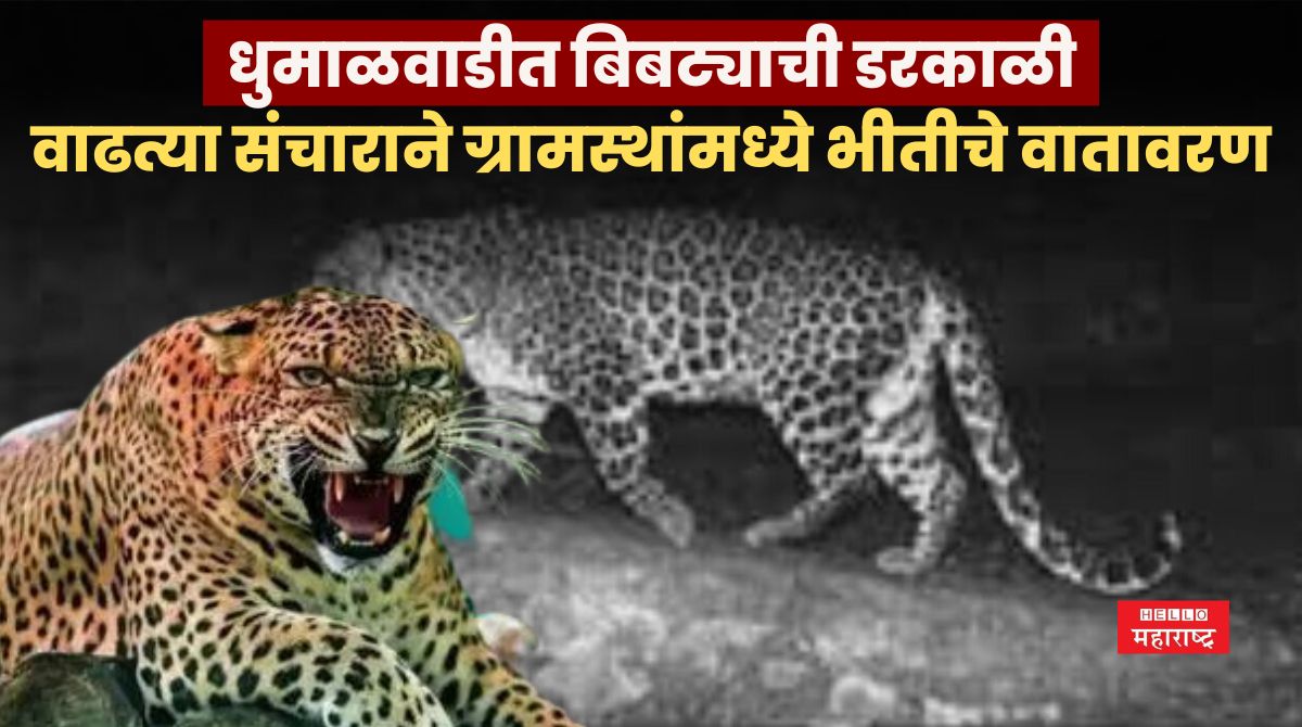 Leopard News