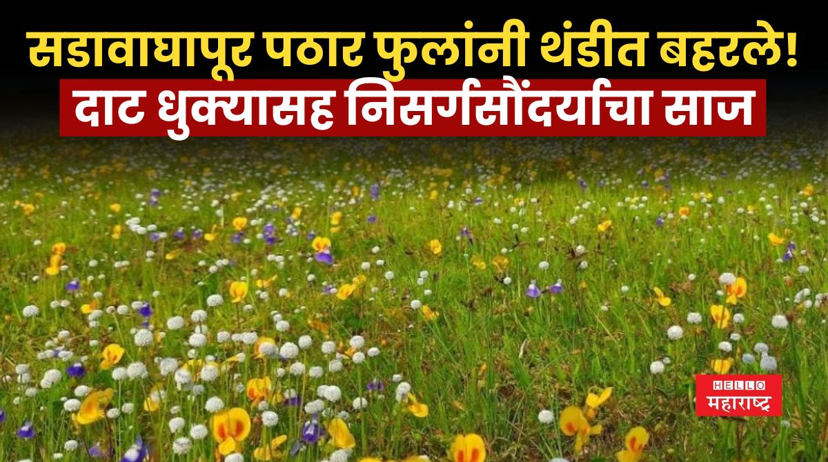 Sadavaghapur Plateau News