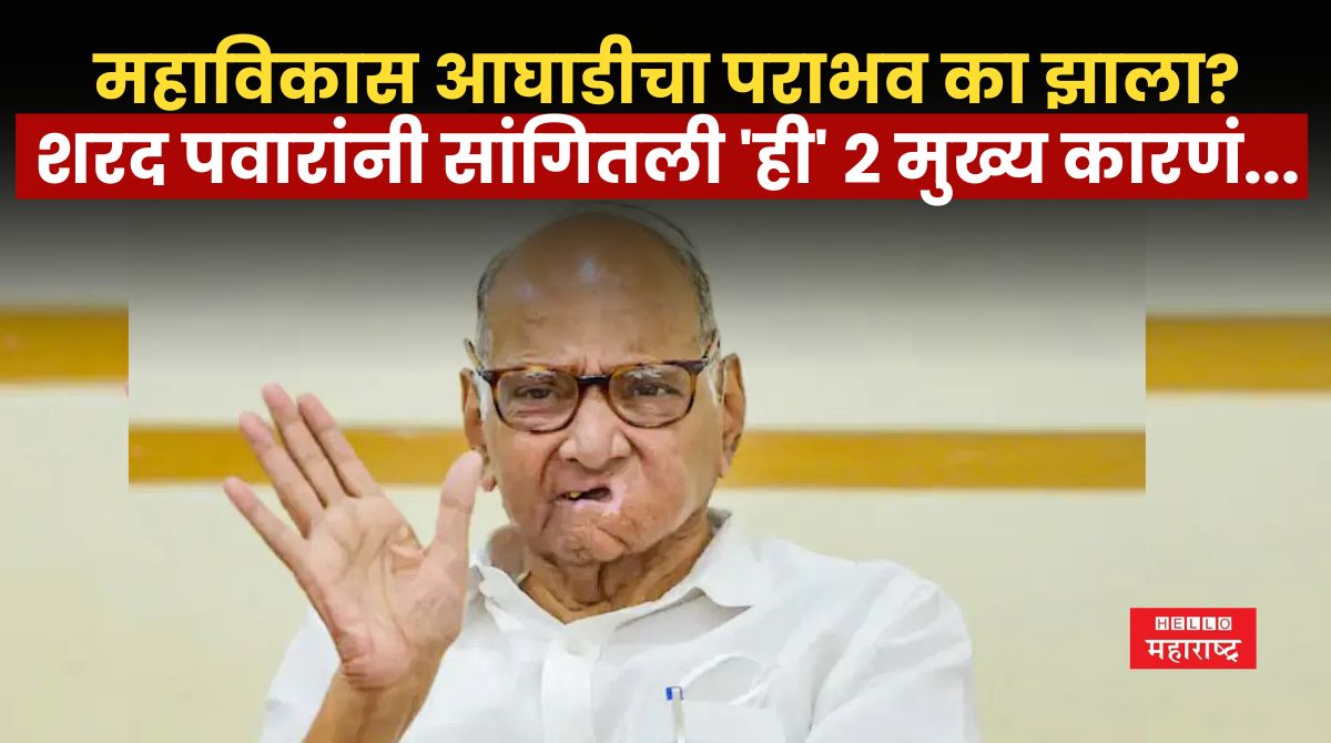 sharad pawar News 3