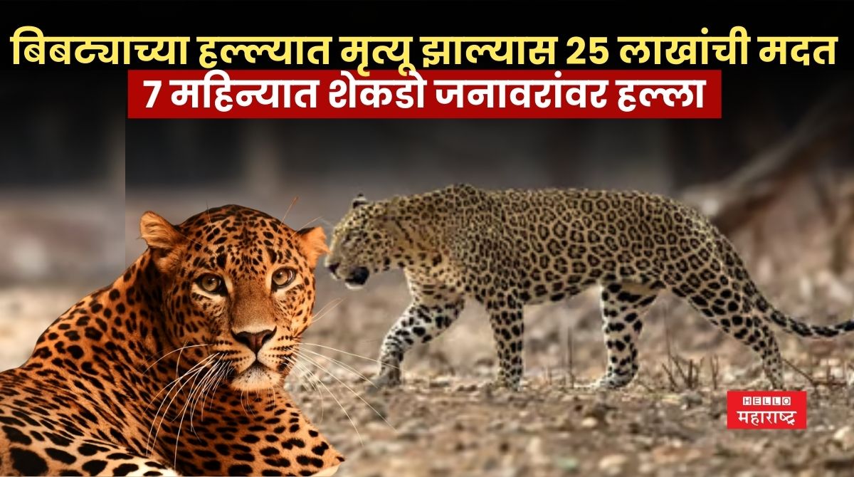 Karad News 12 1