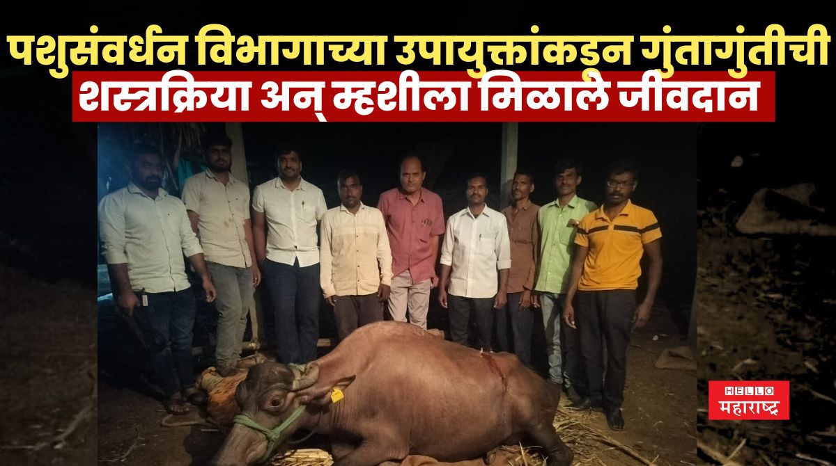 Karad News 9