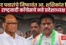 शरद पवारांचे निष्ठावंत आमदार शशिकांत शिंदे राष्ट्रवादी काँग्रेसचे नवे प्रदेशाध्यक्ष