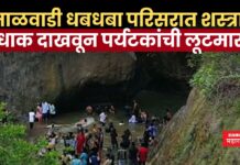 धुमाळवाडी धबधबा परिसरात शस्त्राचा धाक दाखवून पर्यटकांची लूटमार