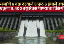 कोयना धरणाचे 6 वक्र दरवाजे 3 फूट 6 इंचाने उचलले; नदीपात्रात एकूण 11,400 क्युसेक्स पाण्याचा विसर्ग सुरु